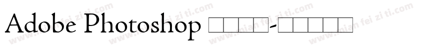 Adobe Photoshop 此文本图字体转换